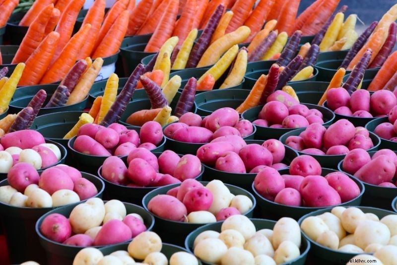 Discover 55 Fun & Unusual Things to Do in St. Augustine, Florida