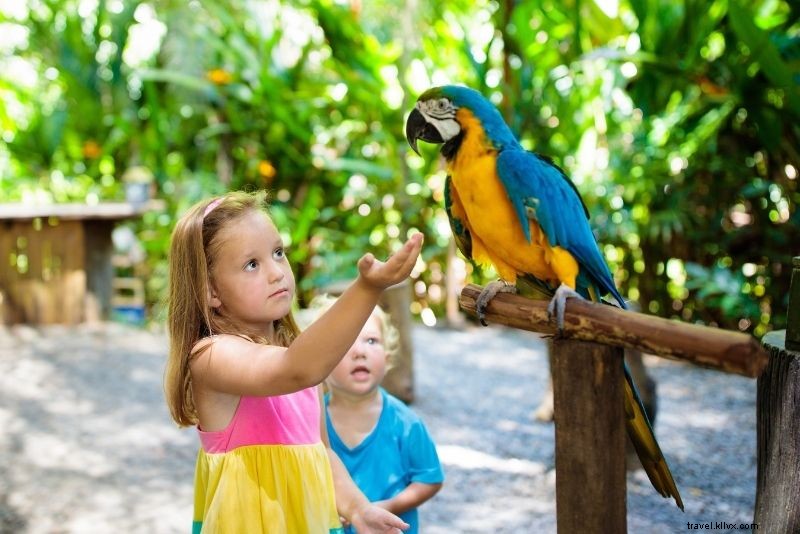 Discover 55 Fun & Unusual Things to Do in Memphis, Tennessee