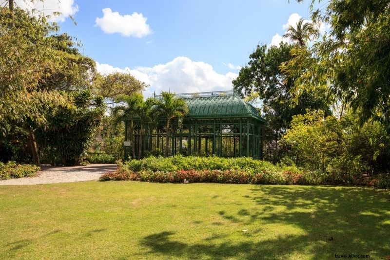 Discover 46 Must-Do Activities in Naples, Florida: Beaches, Shopping & Sunsets