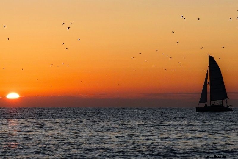 Discover 46 Must-Do Activities in Naples, Florida: Beaches, Shopping & Sunsets