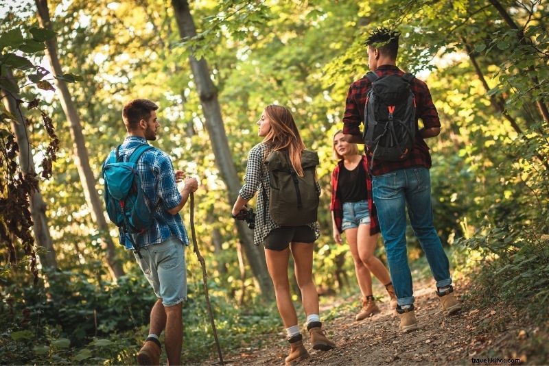 Discover 46 Must-Do Activities in Naples, Florida: Beaches, Shopping & Sunsets