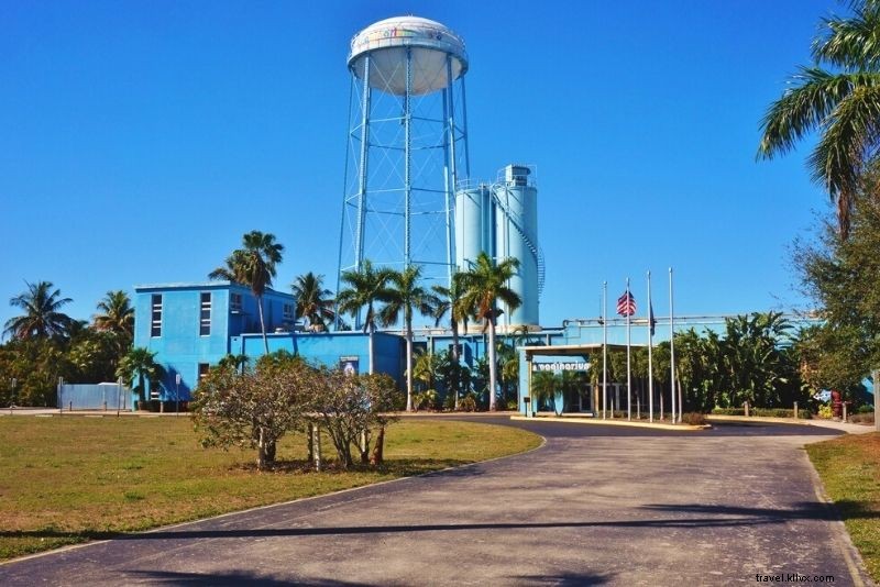 Discover 41 Must-Do Activities in Fort Myers, Florida: Beaches, Adventures & More