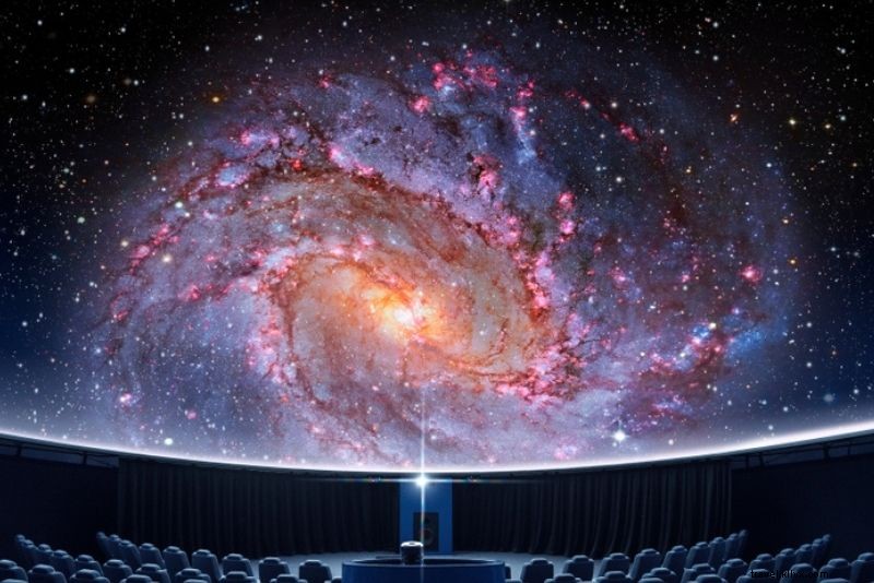 Discover 41 Must-Do Activities in Fort Myers, Florida: Beaches, Adventures & More