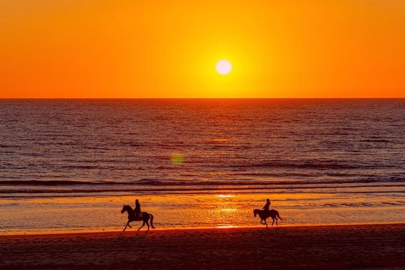 Discover 55 Fun Things to Do in Myrtle Beach, SC