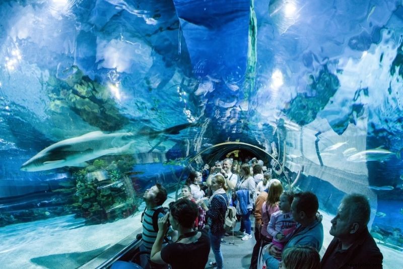 51 Fun & Unusual Things to Do in Budapest: Discover Hidden Gems