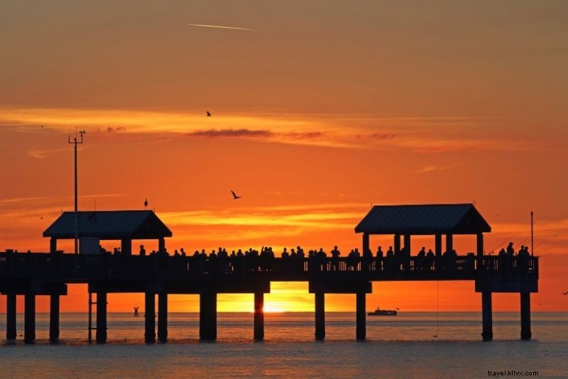 Discover 40 Must-Do Activities in Clearwater, Florida: Beaches, Adventures & More