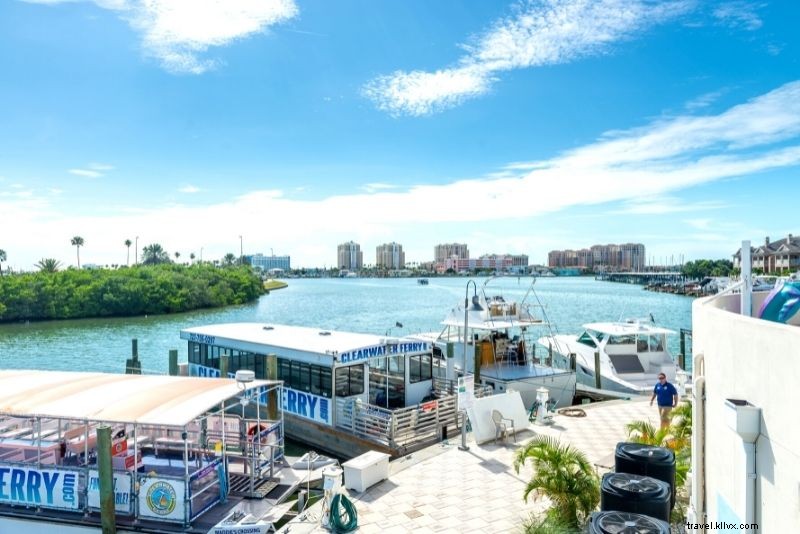 Discover 40 Must-Do Activities in Clearwater, Florida: Beaches, Adventures & More