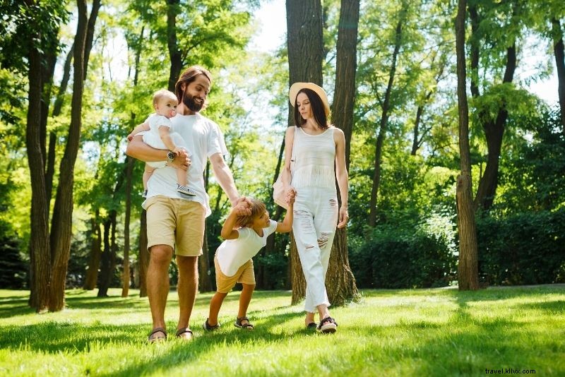 Discover 40 Must-Do Activities in Clearwater, Florida: Beaches, Adventures & More