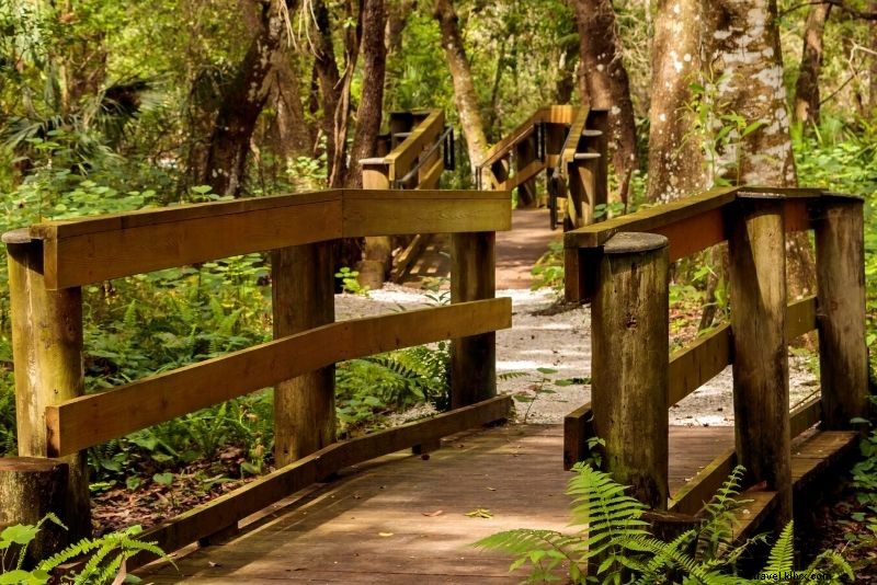 Discover 40 Must-Do Activities in Clearwater, Florida: Beaches, Adventures & More