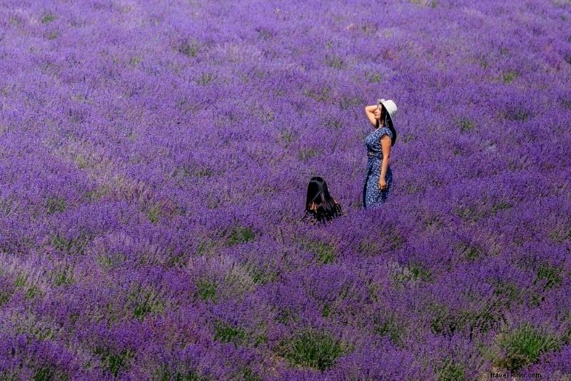 Discover 68 Best Things to Do in San Antonio, Texas – Ultimate Guide