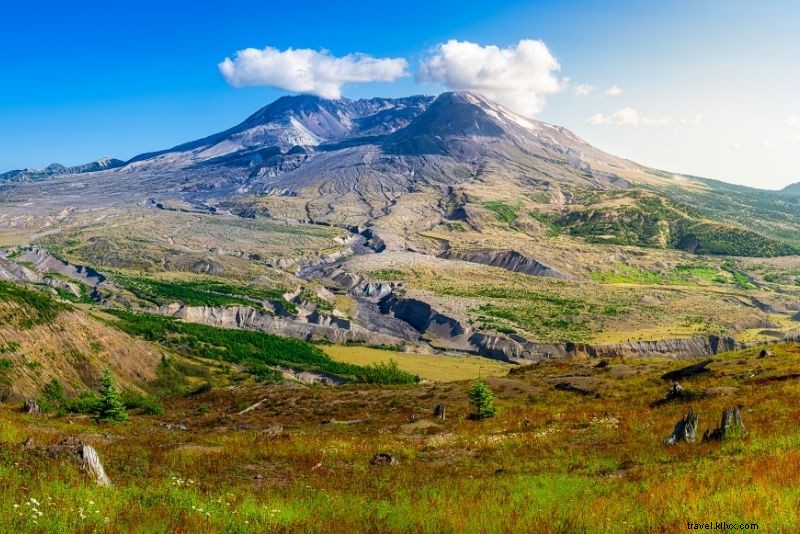 Discover 71 Fun and Unusual Things to Do in Seattle, WA