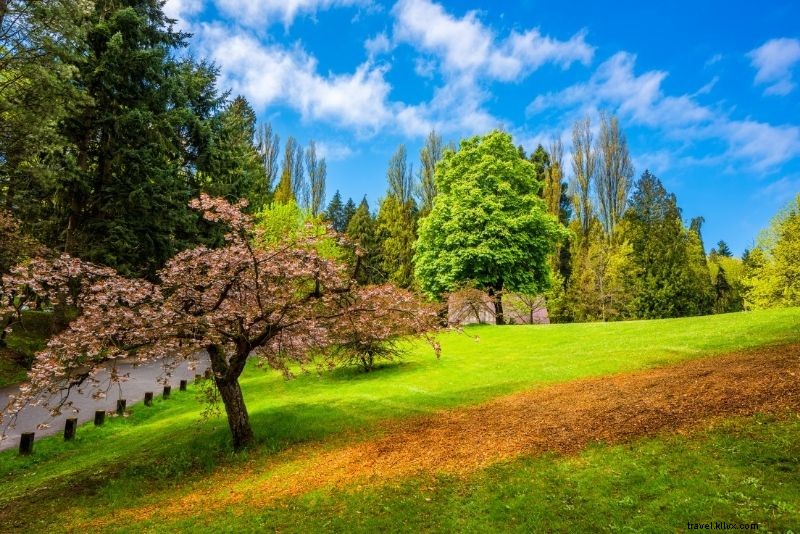 Discover 71 Fun and Unusual Things to Do in Seattle, WA