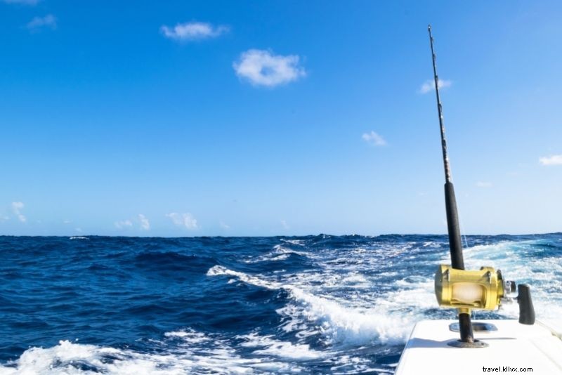 Discover 71 Fun and Unusual Things to Do in Seattle, WA