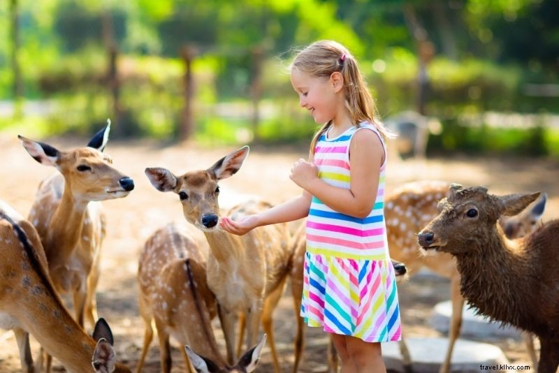 Discover 71 Fun and Unusual Things to Do in Seattle, WA