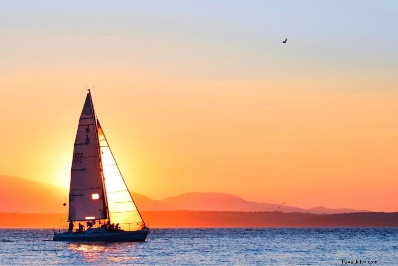 Discover 71 Fun and Unusual Things to Do in Seattle, WA