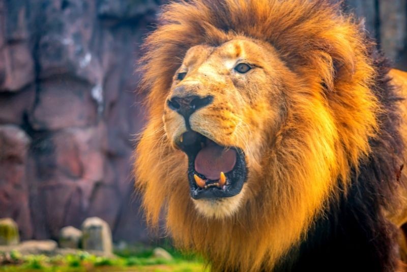 72 Best Things to Do in Boston, Massachusetts: Ultimate Fun Guide