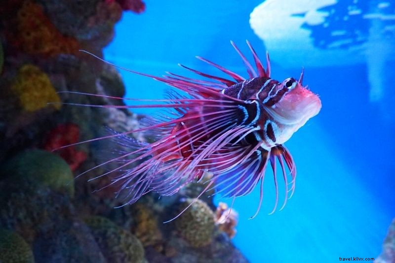 72 Best Things to Do in Boston, Massachusetts: Ultimate Fun Guide