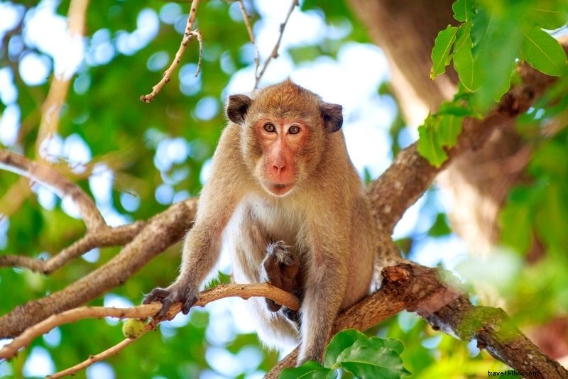 72 Best Things to Do in Boston, Massachusetts: Ultimate Fun Guide