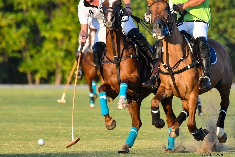 72 Best Things to Do in Boston, Massachusetts: Ultimate Fun Guide