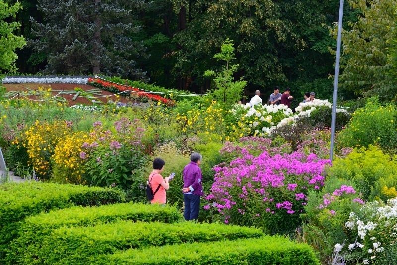 55 Best Things to Do in Toronto: Fun Activities & Must-See Spots