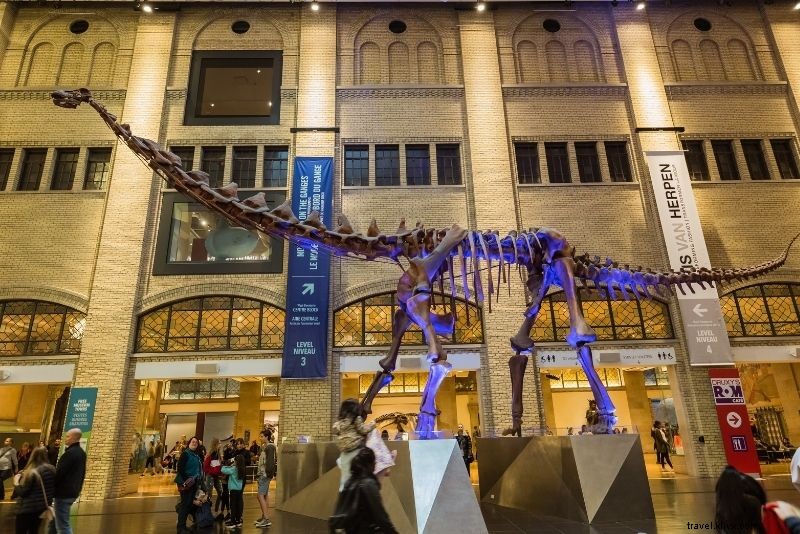 55 Best Things to Do in Toronto: Fun Activities & Must-See Spots