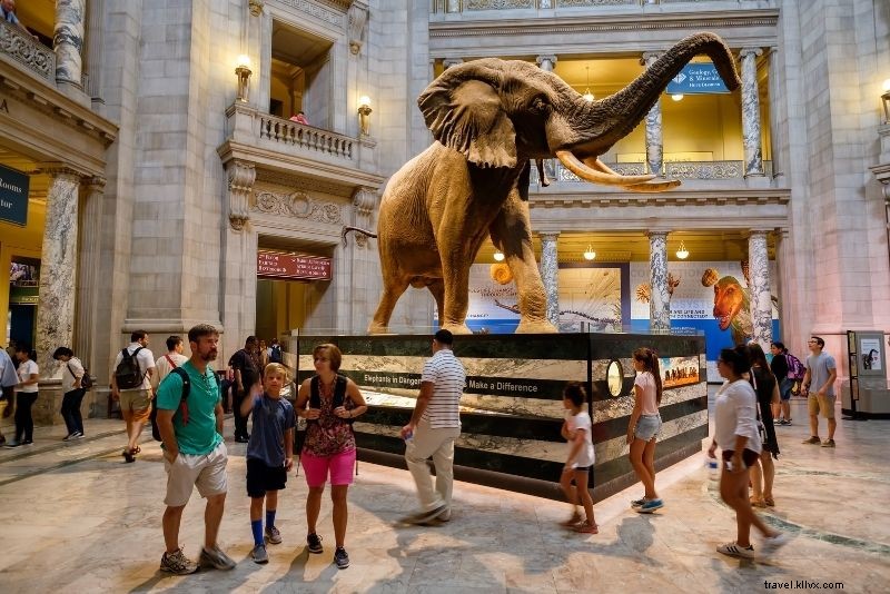 Discover 72 Fun and Unusual Things to Do in Washington, DC