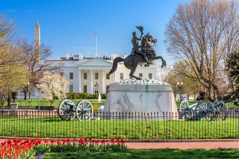 Discover 72 Fun and Unusual Things to Do in Washington, DC