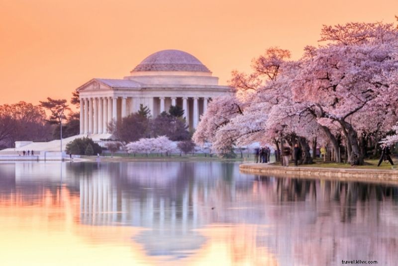 Discover 72 Fun and Unusual Things to Do in Washington, DC