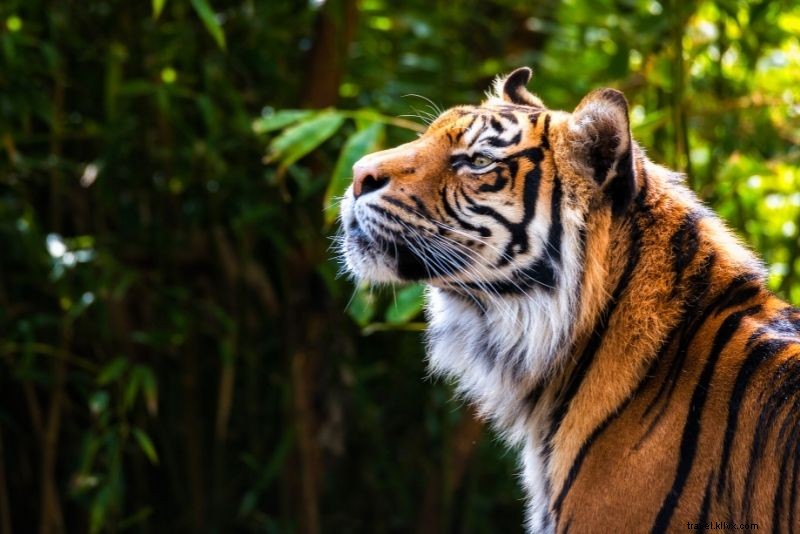 Discover 72 Fun and Unusual Things to Do in Washington, DC