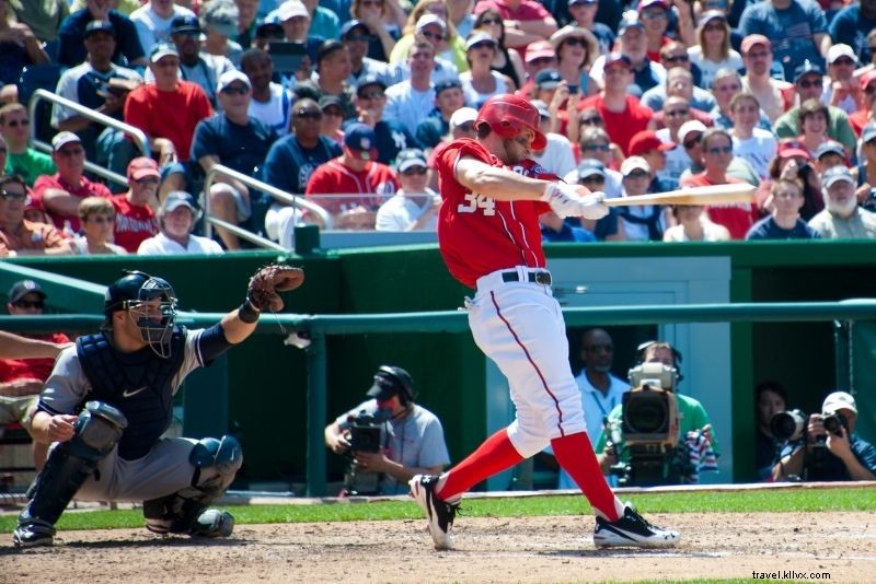 Discover 72 Fun and Unusual Things to Do in Washington, DC