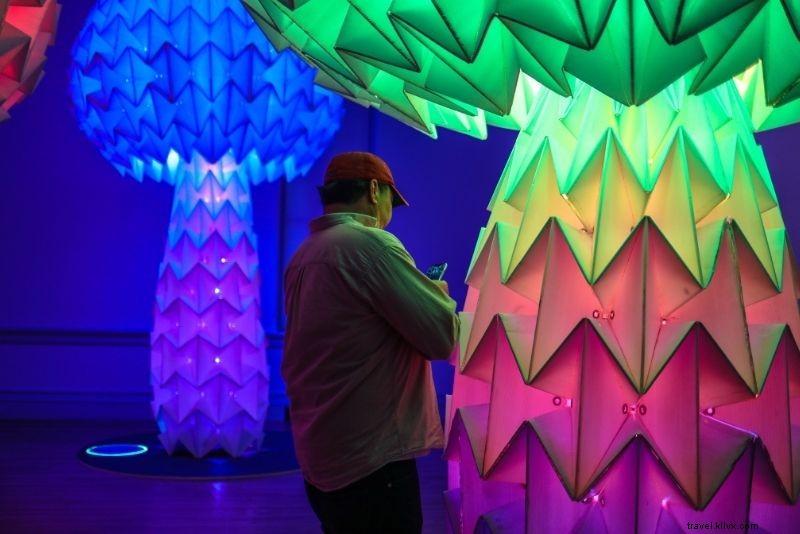 Discover 72 Fun and Unusual Things to Do in Washington, DC