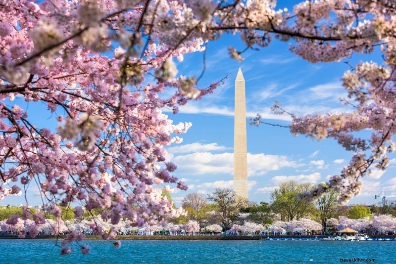 Discover 72 Fun and Unusual Things to Do in Washington, DC