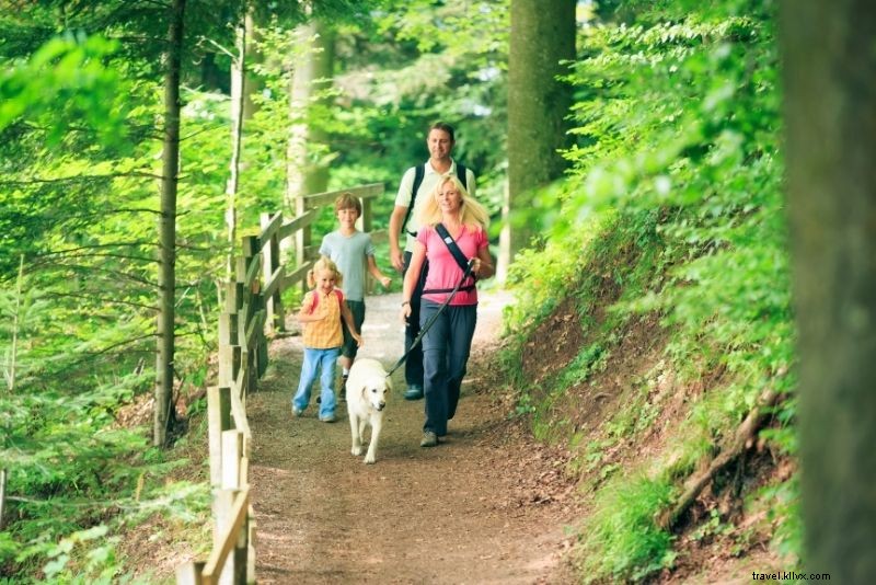 Discover 72 Fun and Unusual Things to Do in Washington, DC