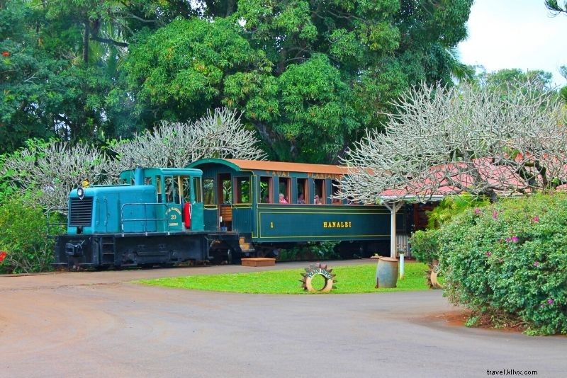 99 Must-Do Things in Hawaii: The Ultimate Bucket List Guide