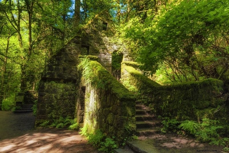 50 Fun & Unusual Things to Do in Portland, Oregon: Ultimate Insider Guide