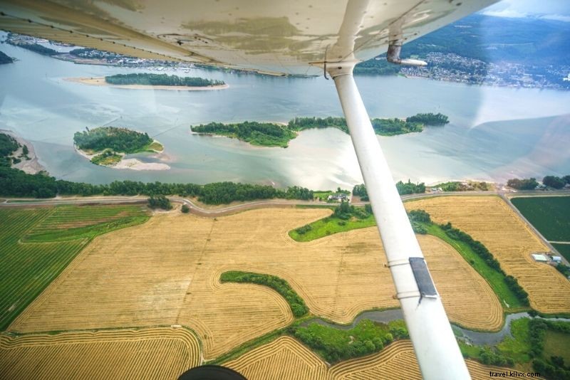 50 Fun & Unusual Things to Do in Portland, Oregon: Ultimate Insider Guide