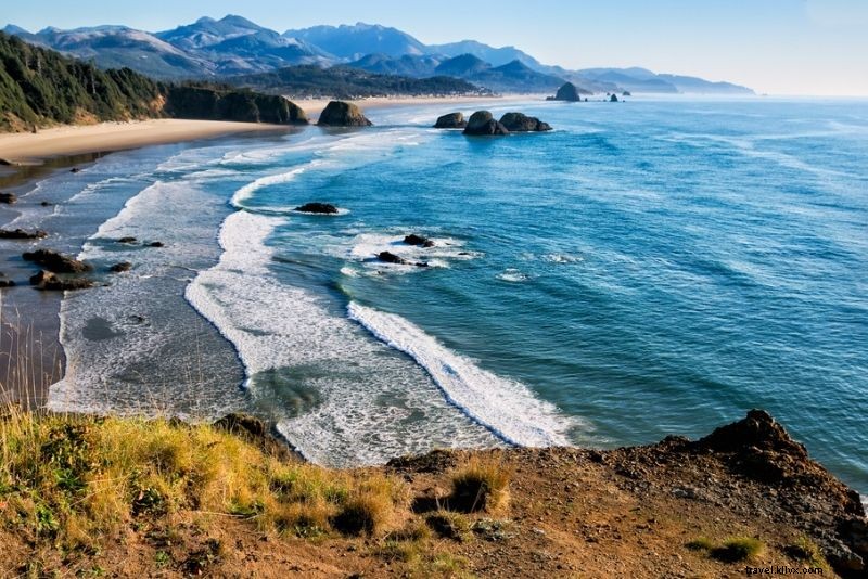 50 Fun & Unusual Things to Do in Portland, Oregon: Ultimate Insider Guide