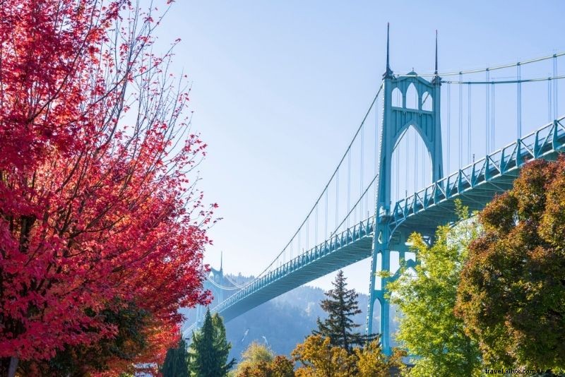 50 Fun & Unusual Things to Do in Portland, Oregon: Ultimate Insider Guide