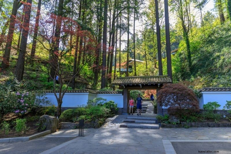 50 Fun & Unusual Things to Do in Portland, Oregon: Ultimate Insider Guide