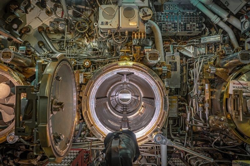 50 Fun & Unusual Things to Do in Portland, Oregon: Ultimate Insider Guide