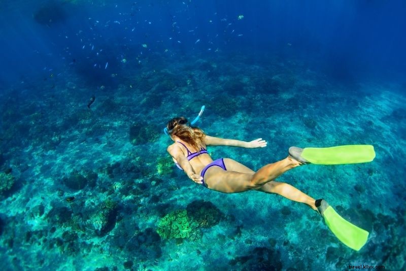 Discover 38 Top Things to Do in Key Largo, Florida: Ultimate Guide