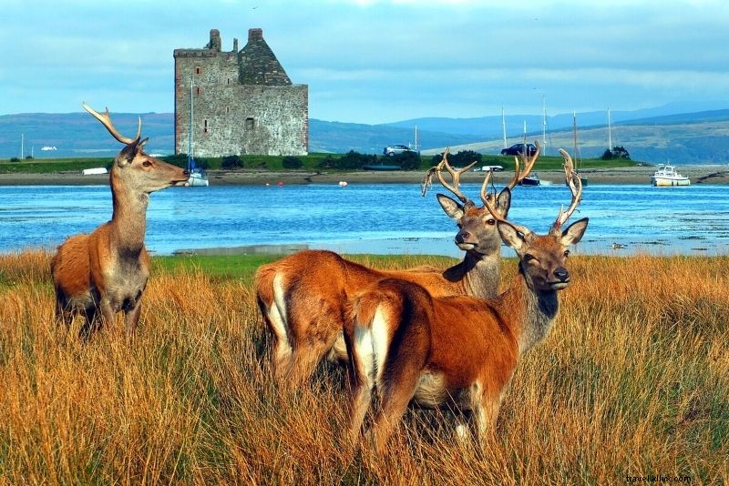 57 Unmissable Things to Do in Glasgow: Ultimate Guide to Fun Adventures