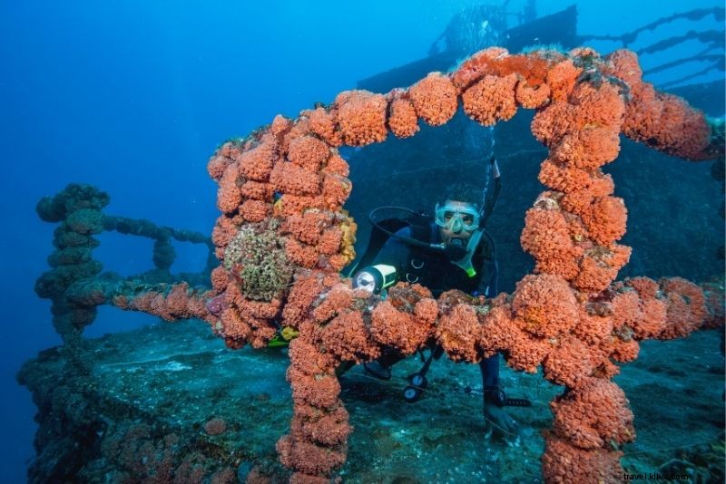 Discover 38 Top Things to Do in Key Largo, Florida: Ultimate Guide