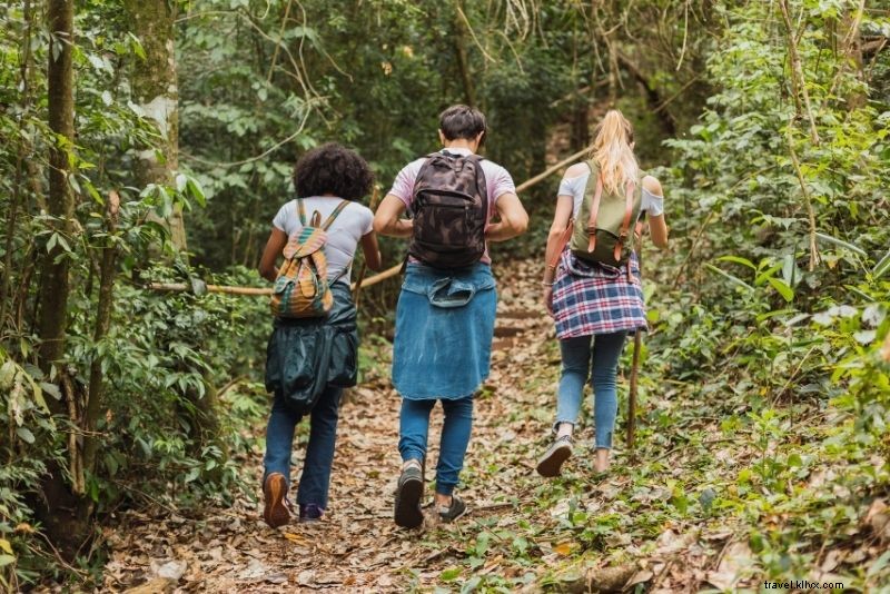 Discover 38 Top Things to Do in Key Largo, Florida: Ultimate Guide