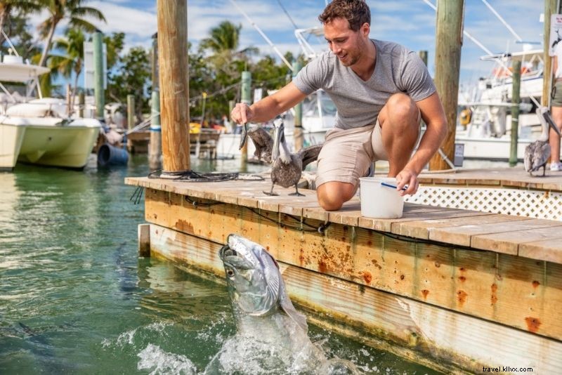 Discover 38 Top Things to Do in Key Largo, Florida: Ultimate Guide