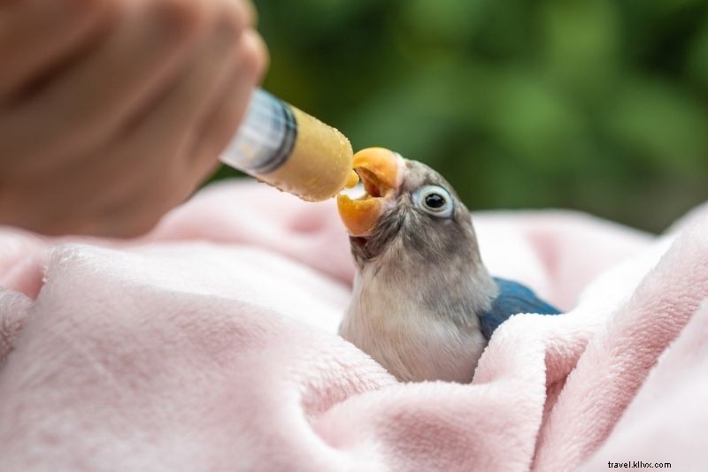 Discover 38 Top Things to Do in Key Largo, Florida: Ultimate Guide