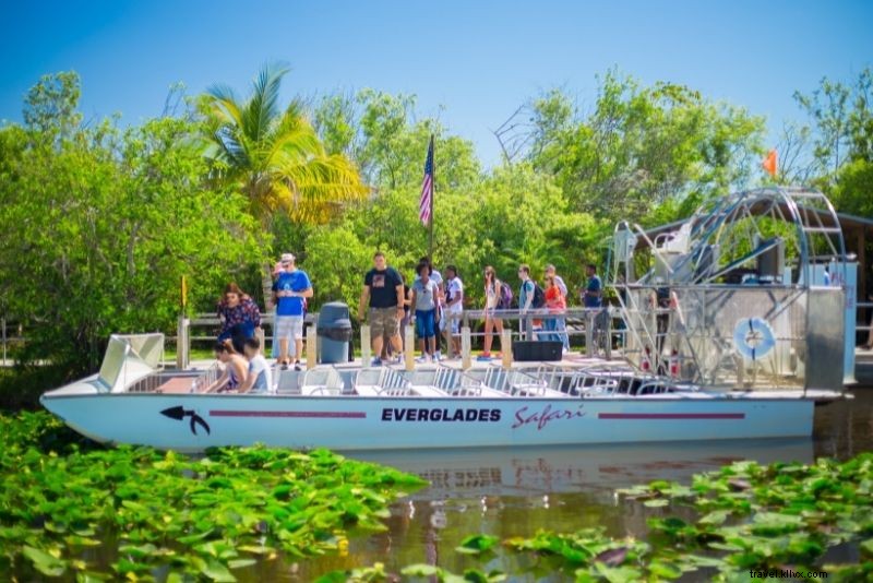 Discover 38 Top Things to Do in Key Largo, Florida: Ultimate Guide