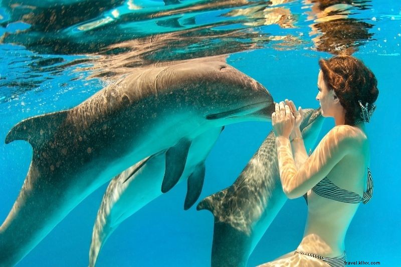 Discover 38 Top Things to Do in Key Largo, Florida: Ultimate Guide