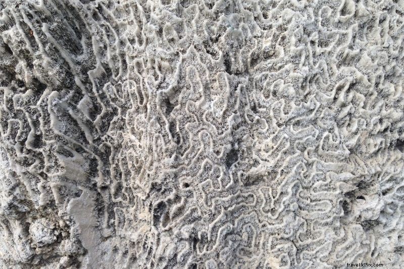 Discover 38 Top Things to Do in Key Largo, Florida: Ultimate Guide