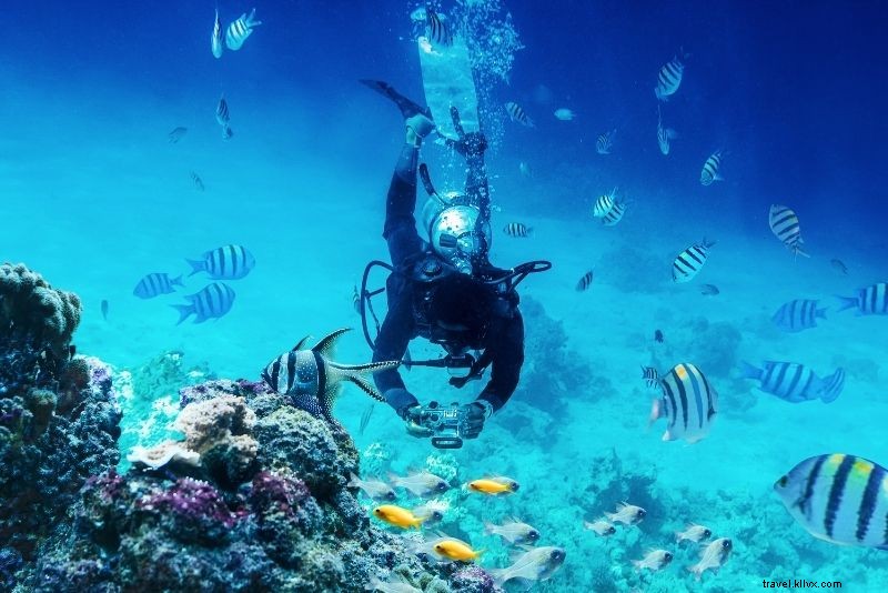 61 Must-Do Activities & Top Tours on Hawaii s Big Island